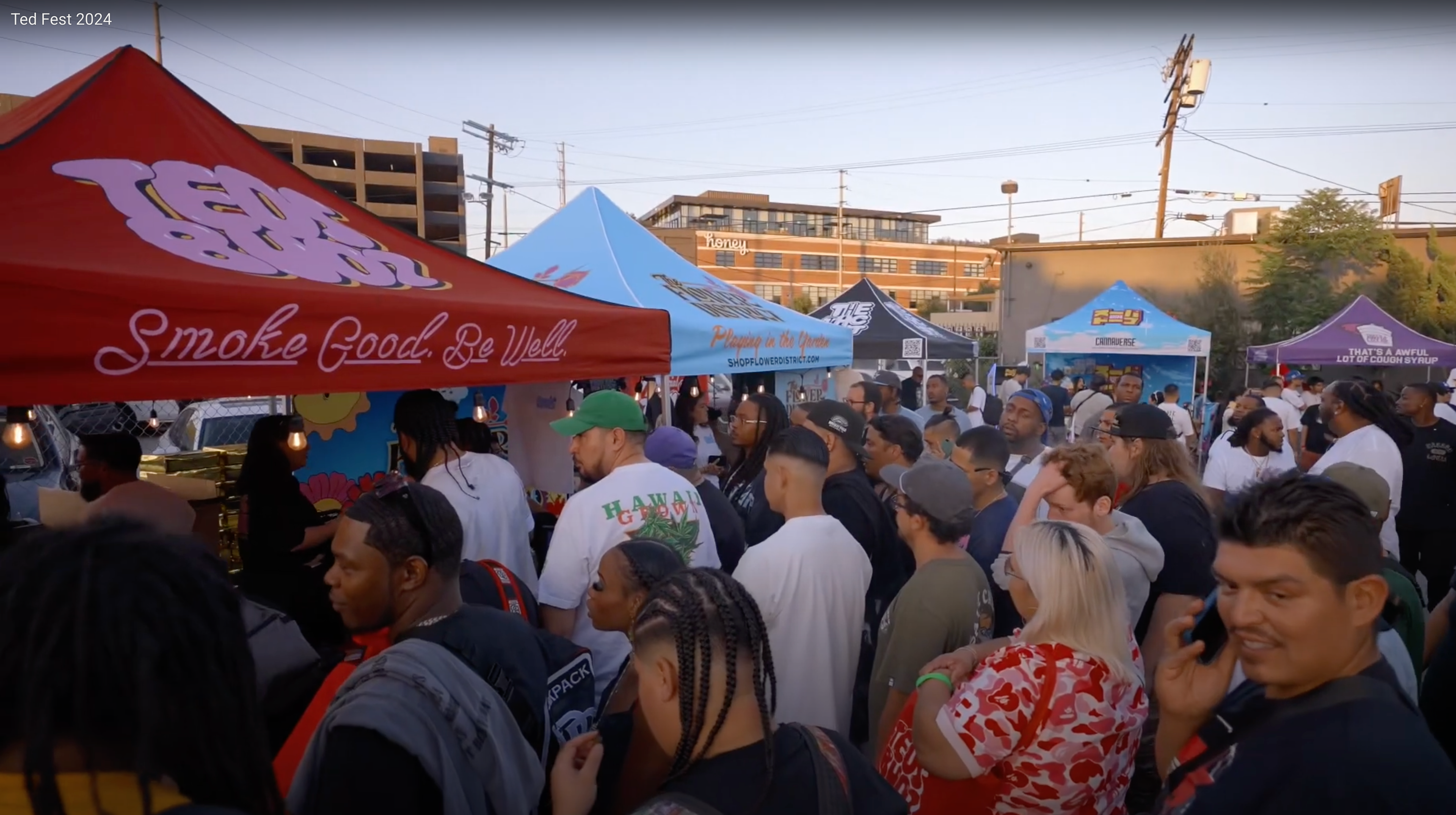 TedFest 2025